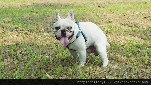 1366352923-3228541569_n 1366352923-3228541569_n