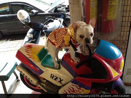 五一勞動節專題~