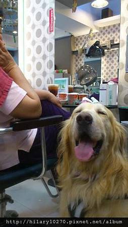 man哥美容院接待員 man哥美容院接待員