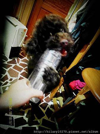 大仁哥-資源回收站2