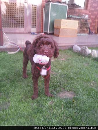 大仁哥-資源回收站1 大仁哥-資源回收站1