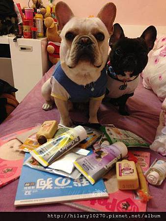 黑糖和大頭-雜貨鋪擺地攤