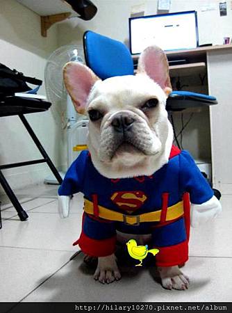 龍龍-地球保衛隊-超狗 龍龍-地球保衛隊-超狗