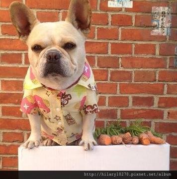 貢丸-有機蔬果 貢丸-有機蔬果