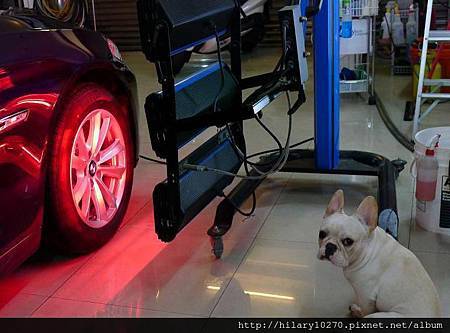 胡A倫-汽車美容監工