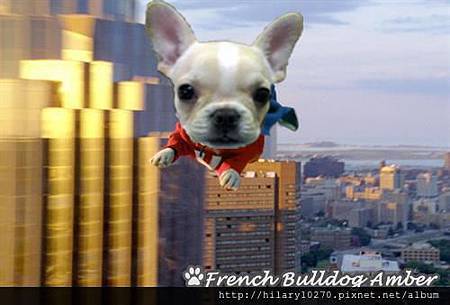 164640_132182506972145_240254733_n 164640_132182506972145_240254733_n