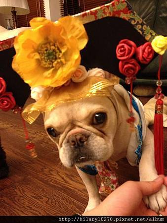 382211_427149240693868_1161078593_n 382211_427149240693868_1161078593_n