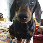 母親節微笑大使 母親節微笑大使