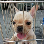 瑪妮(MONEY) 瑪妮(MONEY)