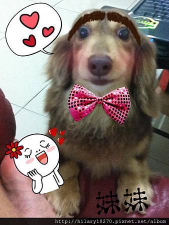 寶貝蛋Mei Mei與 妹妹