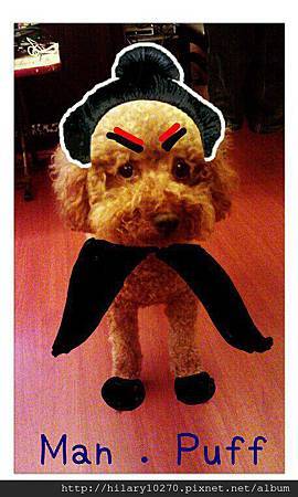 我是泡芙Baby˙v˙ 泡芙