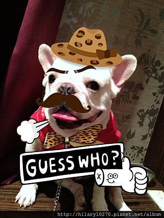 忠犬小八哈吉(Hachi)!! 忠犬小八哈吉