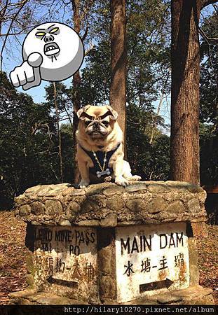 肥爺。二三事 肥爺