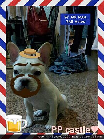 法鬥-小胖胖的遊樂城堡 小胖胖