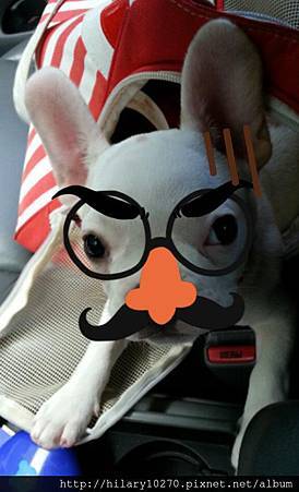 ಌ﹏法鬥愛哭包〞牛奶糖﹏ 牛奶糖