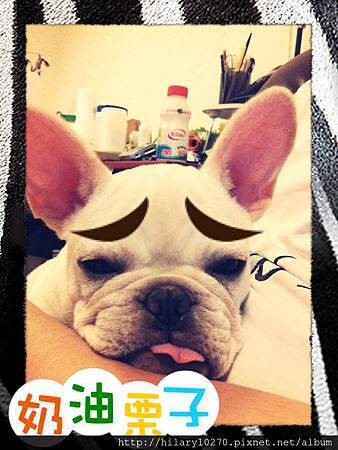 551556_360777084021738_648160138_n 551556_360777084021738_648160138_n