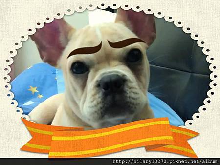 粗眉大叔 粗眉大叔