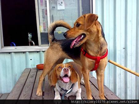 551542_381462611968645_499385902_n