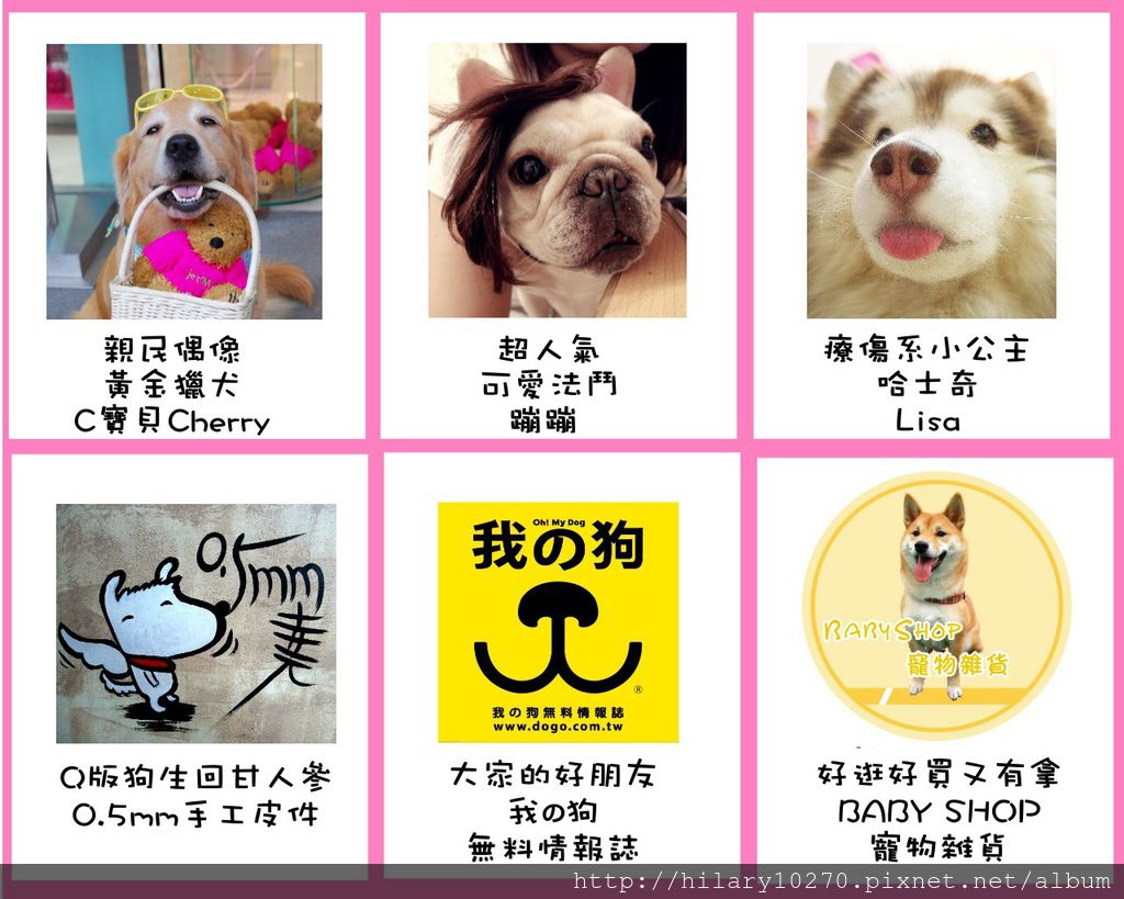 我最有戲評審團