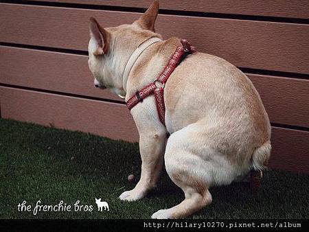 197633_128049020724752_2114593181_n