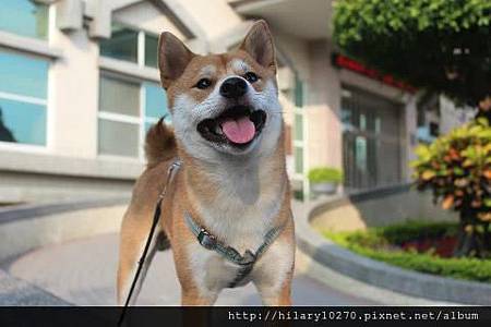 179493_641407122542145_1344586444_n