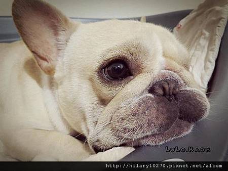 537862_361977073901739_144461613_n