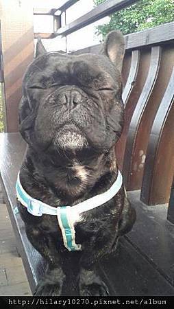 我最有戲 我最有戲