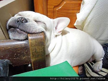 309939_637082056307514_1367759790_n