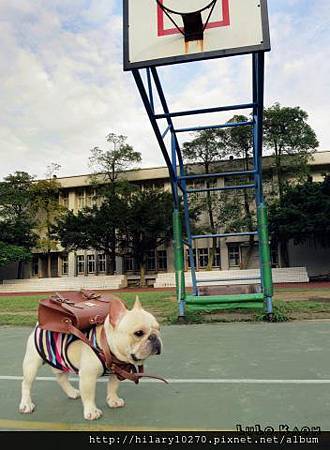 935234_547322075318252_1968923554_n 935234_547322075318252_1968923554_n