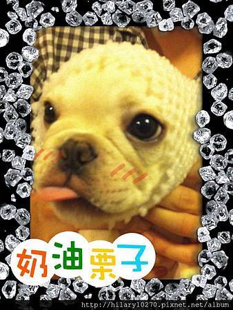 布魯曼地劇場-水果網 布魯曼地劇場-水果網