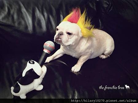 法鬥哥兒們 法鬥哥兒們