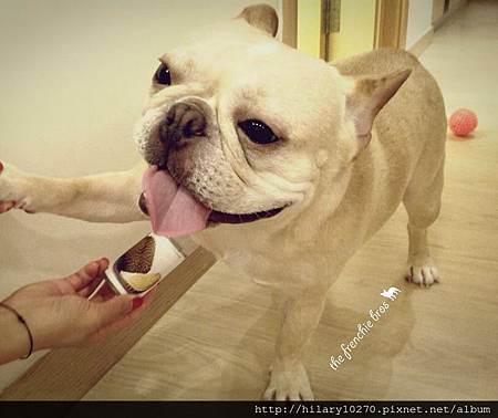 榴槤味的止汗劑! 榴槤味的止汗劑!