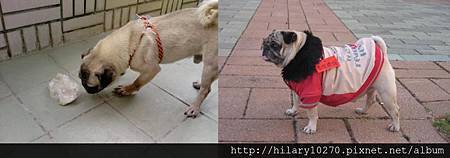 540748_439003266190532_812949041_n