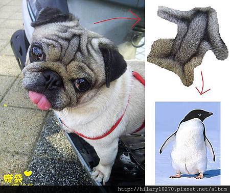 970553_460342137389978_344236781_n 970553_460342137389978_344236781_n