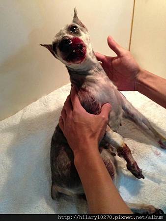 20130301-1 20130301-1