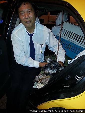 944551_570952926278235_1411214650_n 944551_570952926278235_1411214650_n