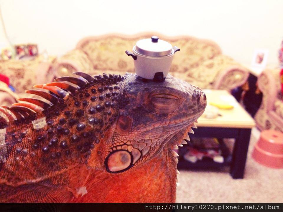 1004574_200212480131147_1782810183_n 1004574_200212480131147_1782810183_n