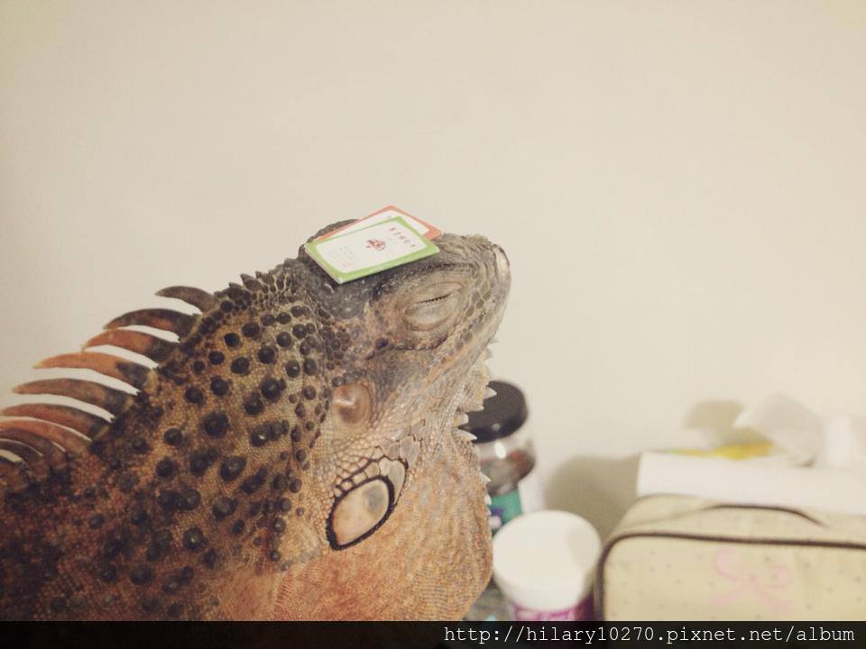 1013685_203001539852241_2138651947_n 1013685_203001539852241_2138651947_n