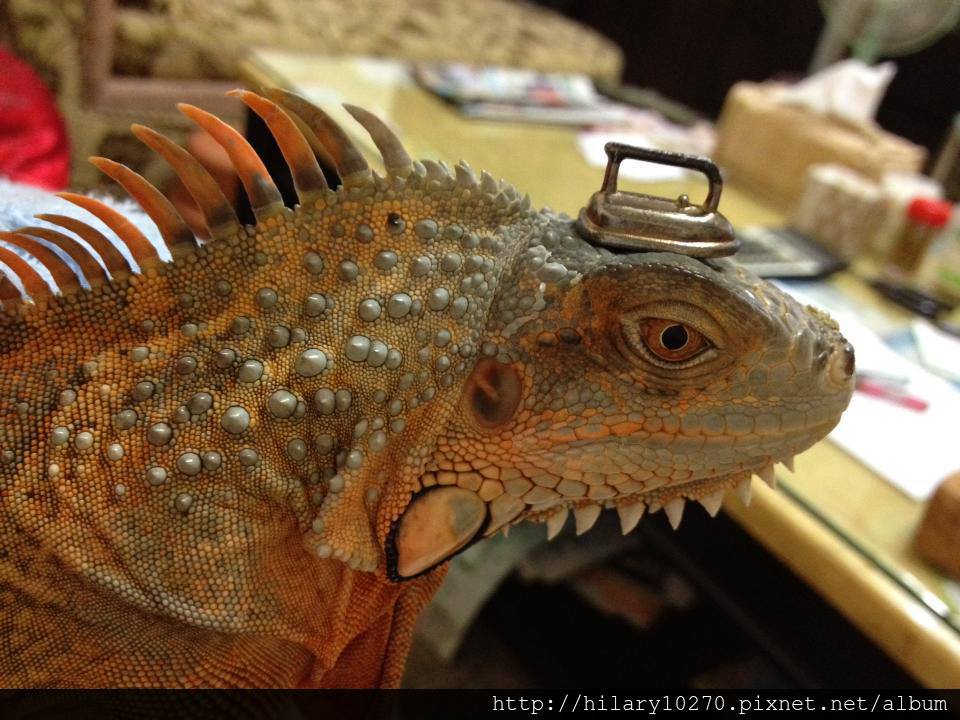 945931_204208889731506_2095952806_n 945931_204208889731506_2095952806_n