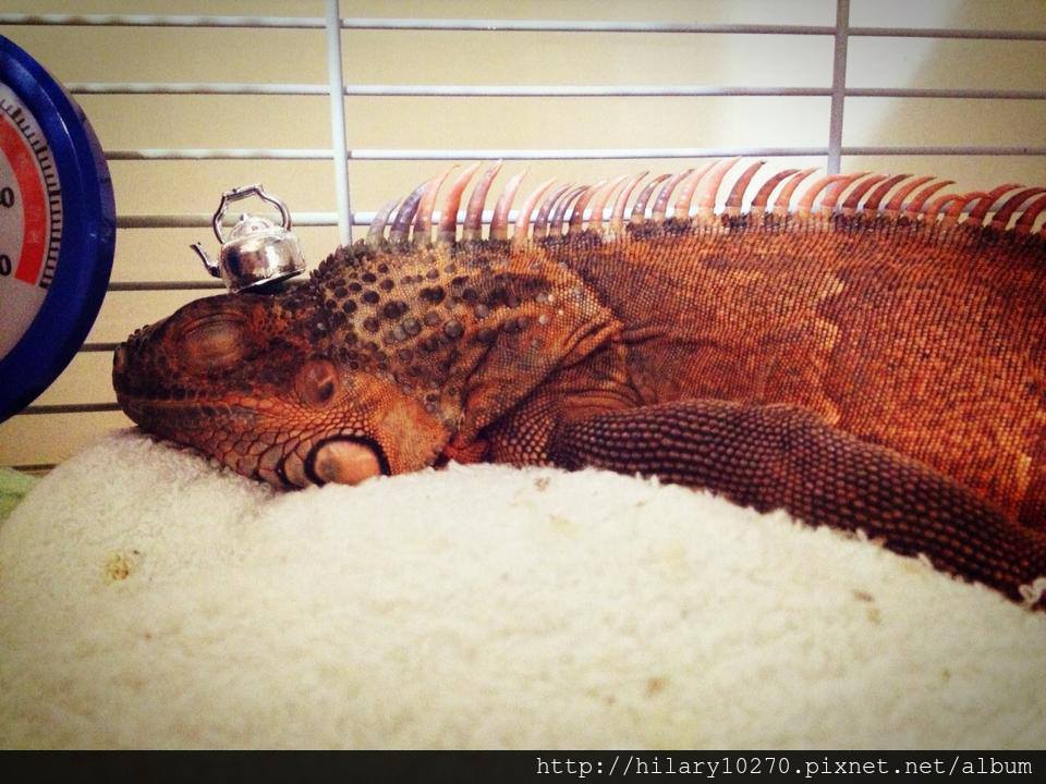 1000050_206258739526521_700456007_n 1000050_206258739526521_700456007_n