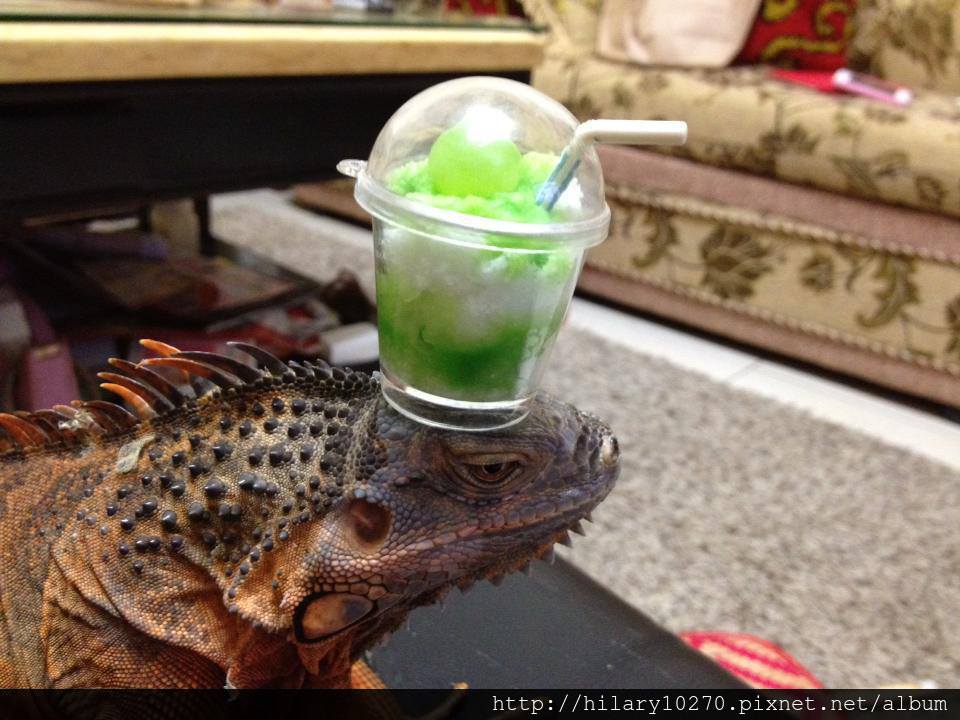 1002065_200295563456172_1832286573_n 1002065_200295563456172_1832286573_n