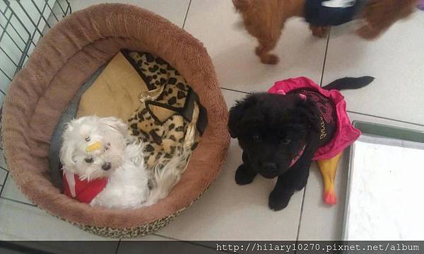 902589_520552157990323_648806530_o 902589_520552157990323_648806530_o