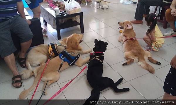 1048346_550561438322728_605447276_o