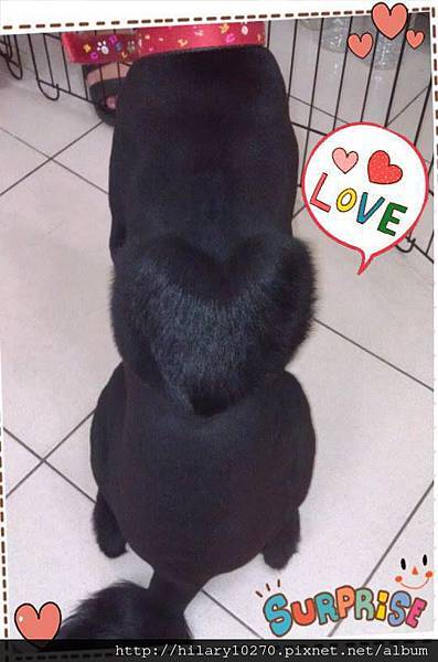 996851_544175975627941_817207250_n