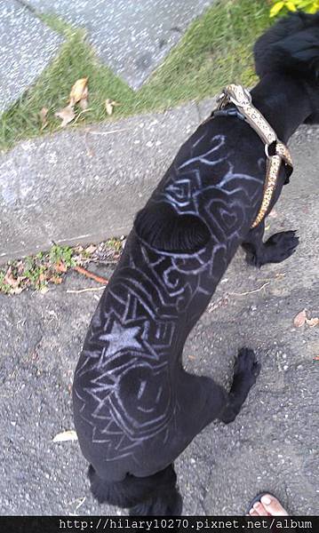 浪跡天涯 給我一個家