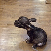 20091015-kikimiumiu (4).jpg