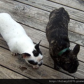 20100409-kiki (2).jpg