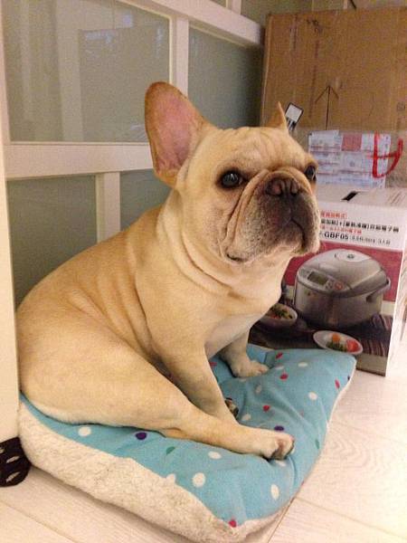 1543285_10153652318880611_1819181223_n 1543285_10153652318880611_1819181223_n