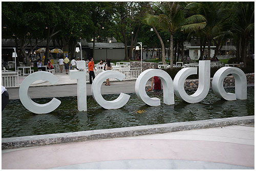 Cicada01.jpg Cicada01.jpg