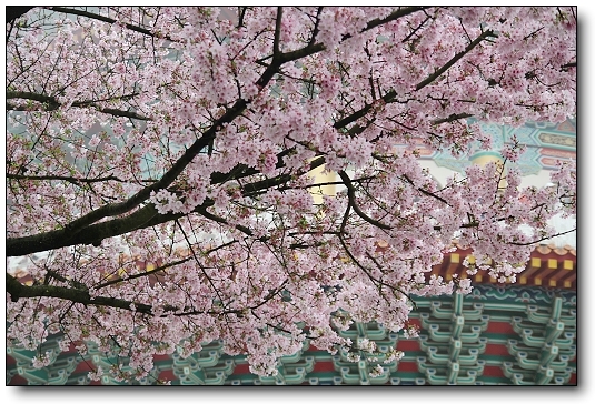 下一張(熱鍵:c)